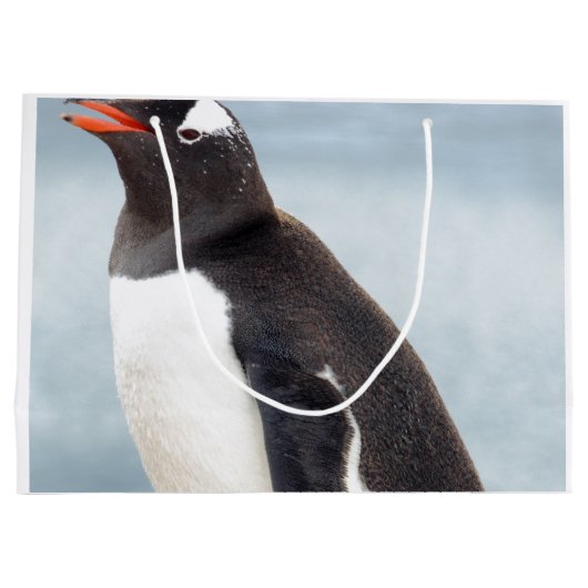Penguin Groot Cadeauzakje (Achterkant)