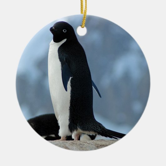 Penguin in Antarctica Ornament (Voorkant)