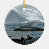 Penguin in Antarctica Ornament (Achterkant)