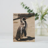 Penguin in Blairdrummond Briefkaart (Staand voorkant)
