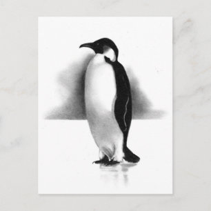 PENGUIN IN PENCIL: REALISME ART BRIEFKAART