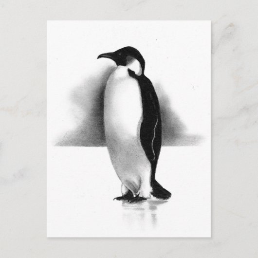 PENGUIN IN PENCIL: REALISME ART BRIEFKAART (Voorkant)