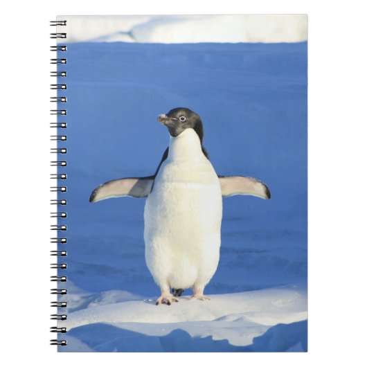 Penguin in the Snow Notitieboek (Voorkant)