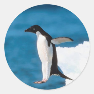 Penguin Jumping Sticker