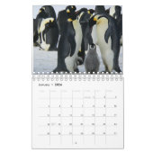 Penguin Kalender (Jan 2026)