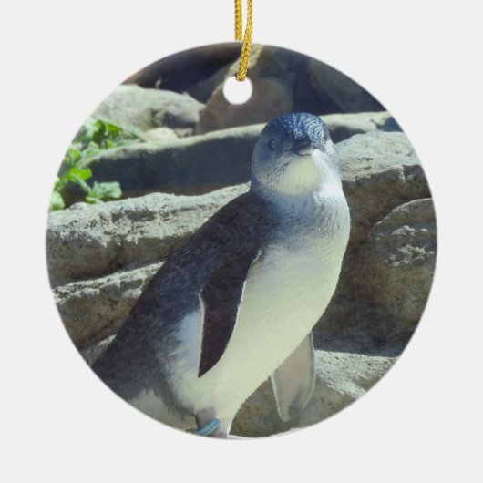 Penguin Keramisch Ornament (Voorkant)