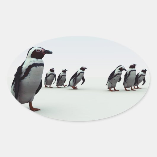Penguin Line-up Ovale Sticker (Voorkant)