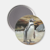 Penguin Magneet (Voorkant / Achterkant)