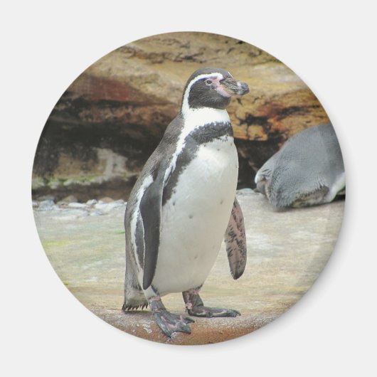 Penguin Magneet (Voorkant)