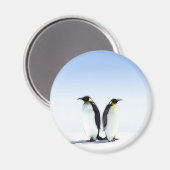 PENGUIN MAGNEET (Voorkant / Achterkant)