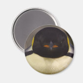 Penguin Magneet (Voorkant / Achterkant)