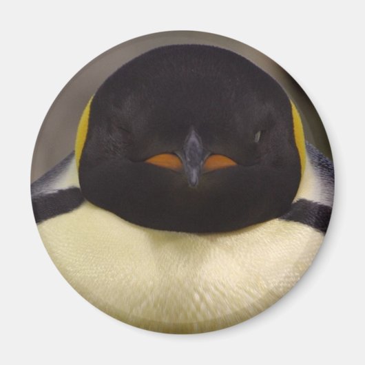 Penguin Magneet (Voorkant)