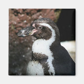 Penguin Magnet (Voorkant)