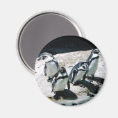 Penguin Magnet (Voorkant / Achterkant)
