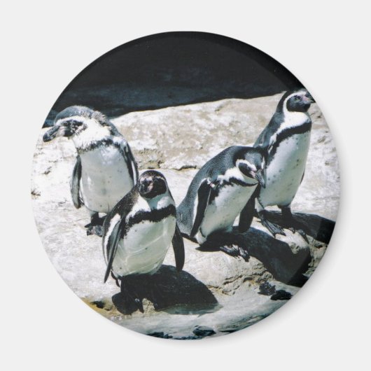 Penguin Magnet (Voorkant)