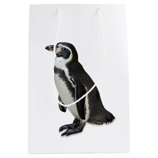 Penguin Medium Cadeauzakje (Voorkant)