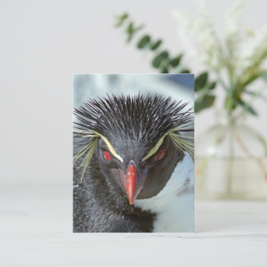 Penguin met rode ogen briefkaart (Staand voorkant)
