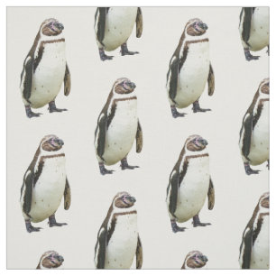 Penguin on White Stof