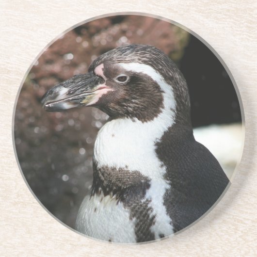 Penguin Onderzetter (Voorkant)
