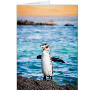 Penguin op Bartolome Island