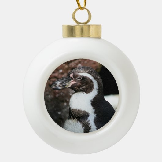 Penguin Ornament (Voorkant)