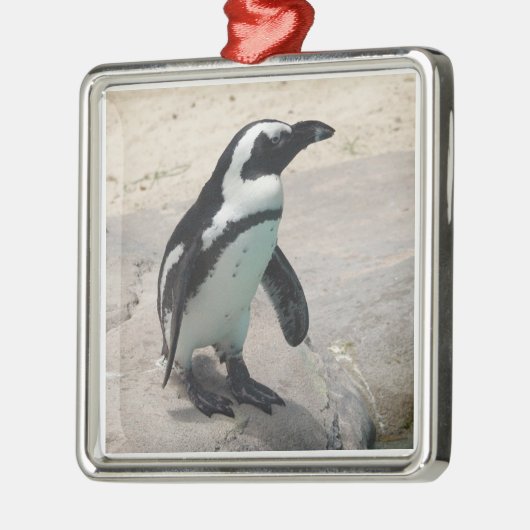 Penguin Ornament (Links)