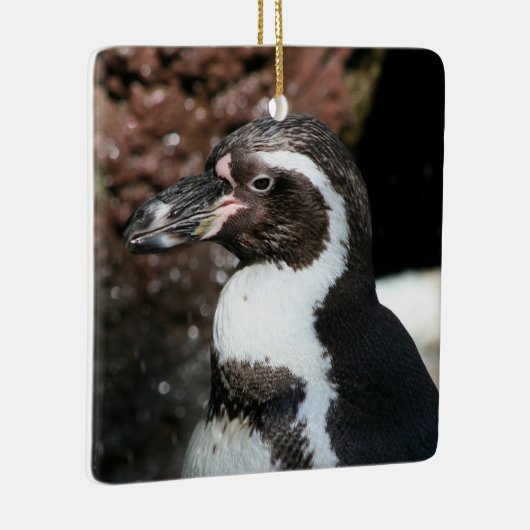 Penguin Ornament (Rechts)