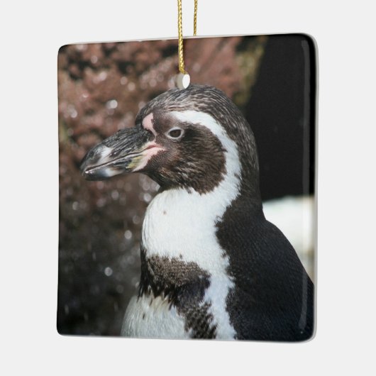 Penguin Ornament (Links)
