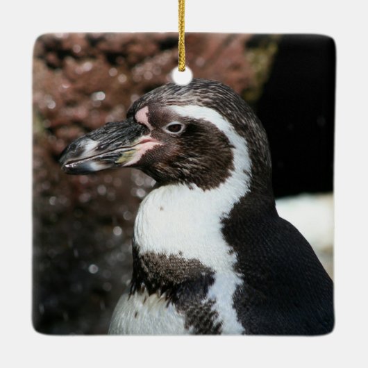 Penguin Ornament (Achterkant)