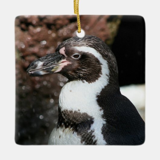 Penguin Ornament (Voorkant)
