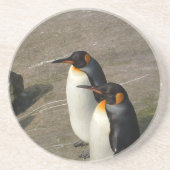 Penguin Pair Onderzetters (Voorkant)