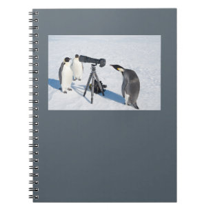 Penguin Paparazzi-laptop Notitieboek