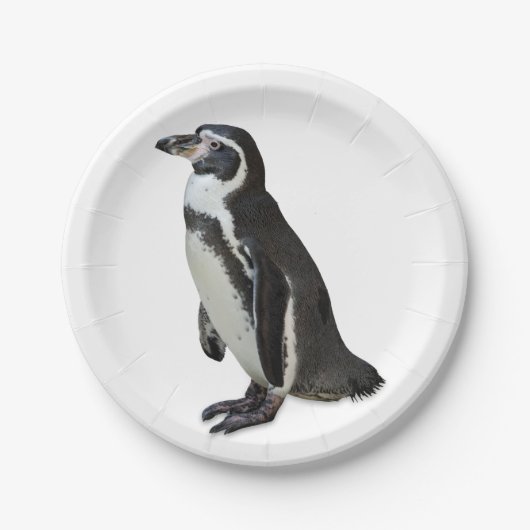 Penguin Papieren Bordje (Voorkant)