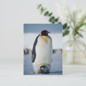Penguin Parent & Chick Briefkaart (Staand voorkant)