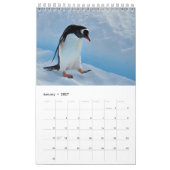 Penguin-Pedia: Pinguïns van de wereld Kalender (Jan 2027)