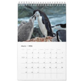 Penguin-Pedia: Pinguïns van de wereld Kalender (Mar 2026)
