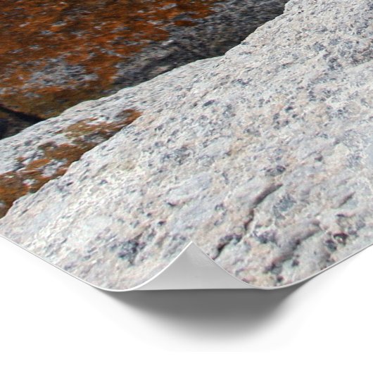 Penguin Philosophy Poster (Hoek)