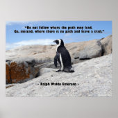 Penguin Philosophy Poster (Voorkant)