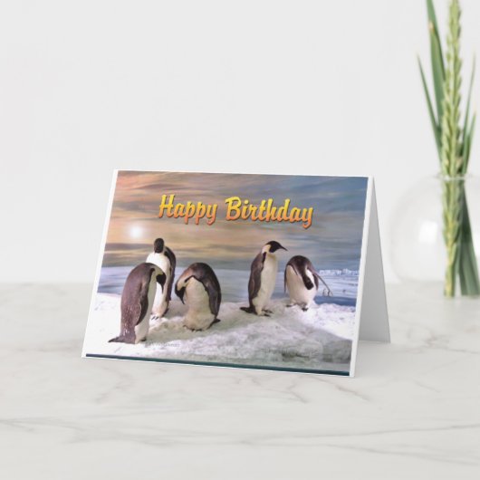 Penguin Photo Happy Birthday Kaart (Voorkant)