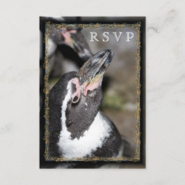 Penguin Photo Zoo Wedding RSVP-kaarten RSVP Kaartje