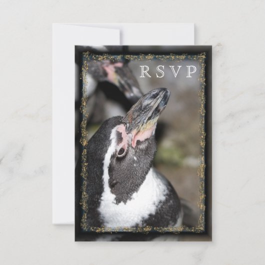 Penguin Photo Zoo Wedding RSVP-kaarten RSVP Kaartje (Voorkant)