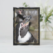 Penguin Photo Zoo Wedding RSVP-kaarten RSVP Kaartje (Staand voorkant)