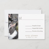 Penguin Photo Zoo Wedding RSVP-kaarten RSVP Kaartje (Achterkant)