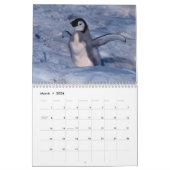 Penguin Photography Calendar Kalender (Mar 2026)