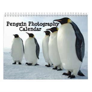 Penguin Photography Calendar Kalender
