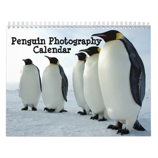 Penguin Photography Calendar Kalender (Hoes)