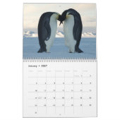 Penguin Photography Calendar Kalender (Jan 2027)