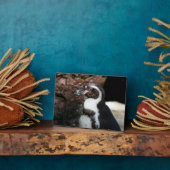 Penguin Plaque Fotoplaat (Zijkant)