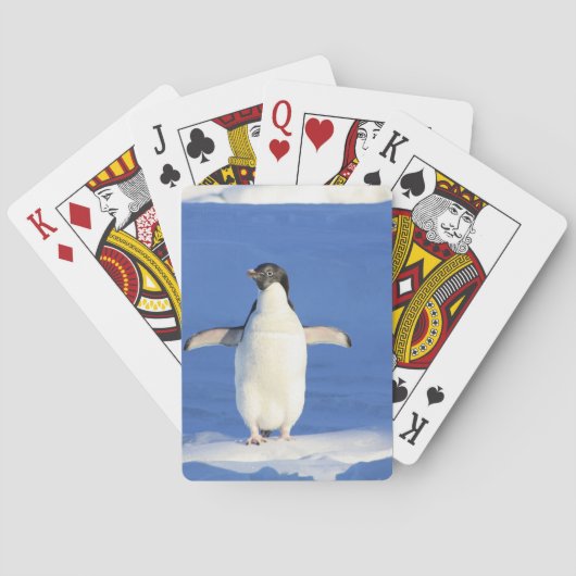 Penguin Pokerkaarten (Achterkant)