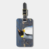 Penguin Portrait Bagagelabel (Voorkant verticaal)